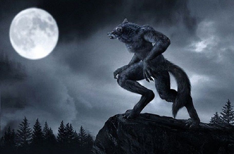 Viral: Era falso el video del lobizón en Santiago del Estero | Curiosidades