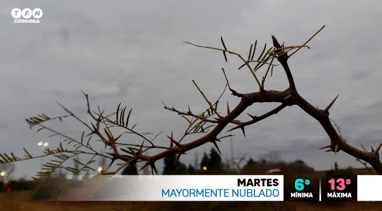 Anticipan tiempo frío, marcado descenso de temperatura, máxima 13° | Córdoba