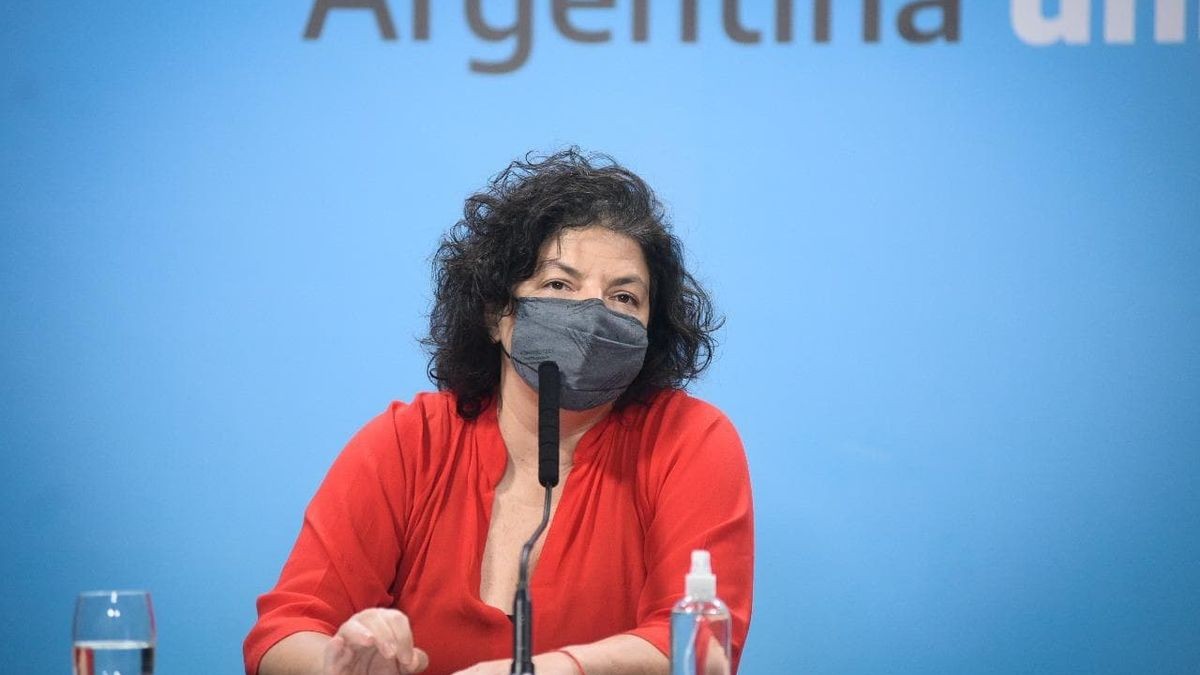 Carla Vizzotti anunció que todas las embarazadas tendrán prioridad para ser vacunadas contra el coronavirus | Actualidad
