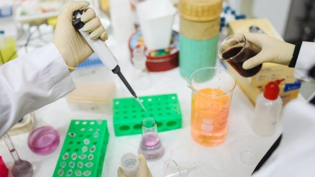 Estudio: un cóctel de anticuerpos reduce la mortalidad en pacientes con coronavirus | Internacionales