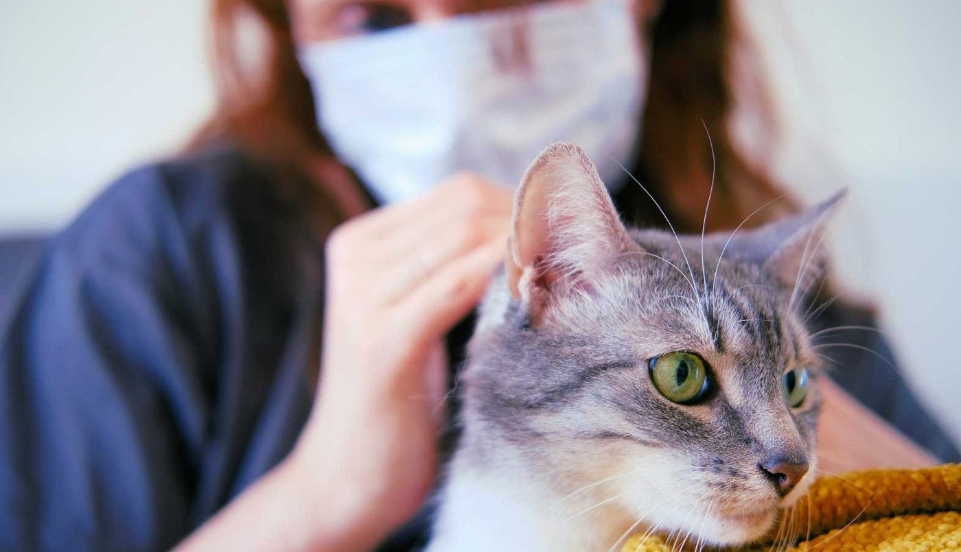 Un argentino estudia el Covid en animales: "Las personas los están contagiando" | Actualidad