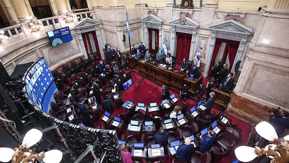 Cristina Fernández de Kirchner extendió las sesiones por videoconferencia en el Senado | Política y economía