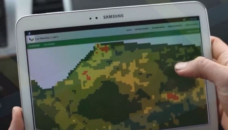 Una plataforma digital puede medir cuánto contaminamos y cómo compensarlo | Actualidad