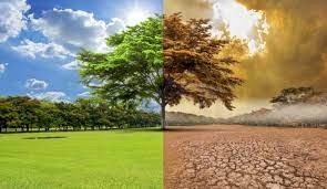 Asesores de la ONU sobre el cambio climático: "Lo peor está por llegar" | Internacionales