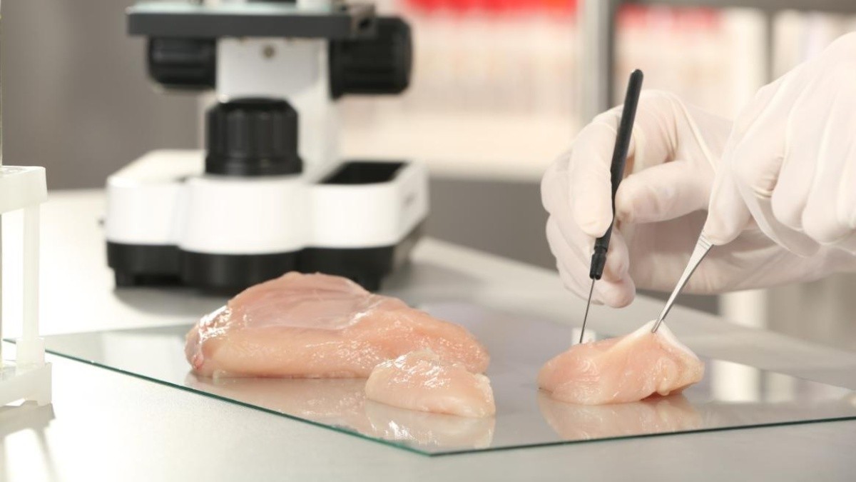 "Revolución alimentaria": un restaurante de Israel sirve pollo de laboratorio | Internacionales