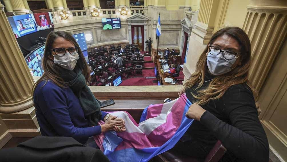 El Senado convirtió en Ley el proyecto sobre cupo laboral travesti trans | Política y economía
