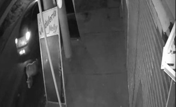 Villa Elisa: La llevaban cautiva y se arrojó del auto | Actualidad