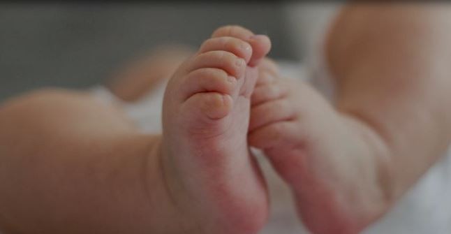 Se conmemora el Día Mundial de la Fenilcetonuria, una de las patologías genéticas del Programa de la Pesquisa Neonatal | Actualidad