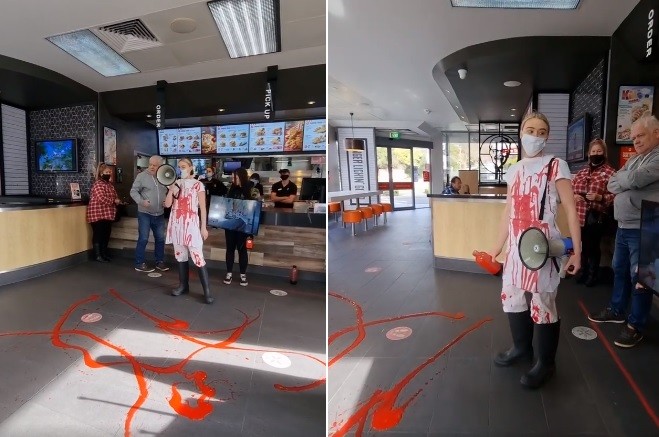 "Abusadores de animales": activista vegana acusó a clientes de un local de comida rápida | Internacionales