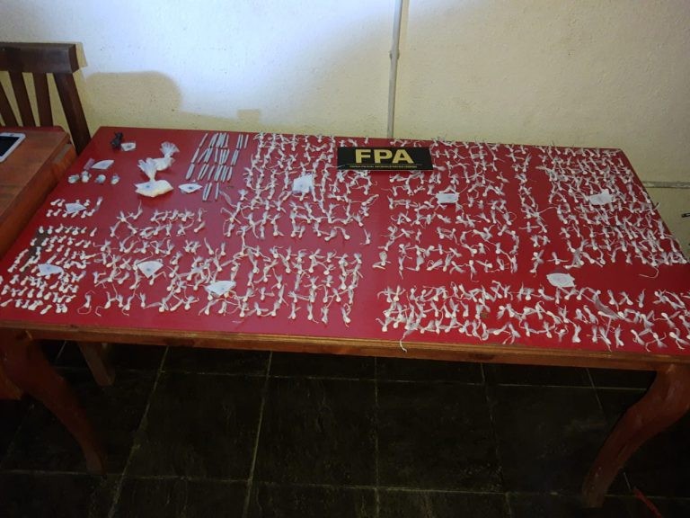 Drogas: La FPA incautó 600 envoltorios de cocaína | Córdoba
