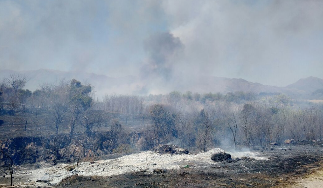El fuego arrasa al norte de Cosquín | Córdoba