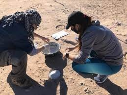 Hallan nidos de huevos de dinosaurios en campus de la Universidad Nacional del Comahue | Actualidad