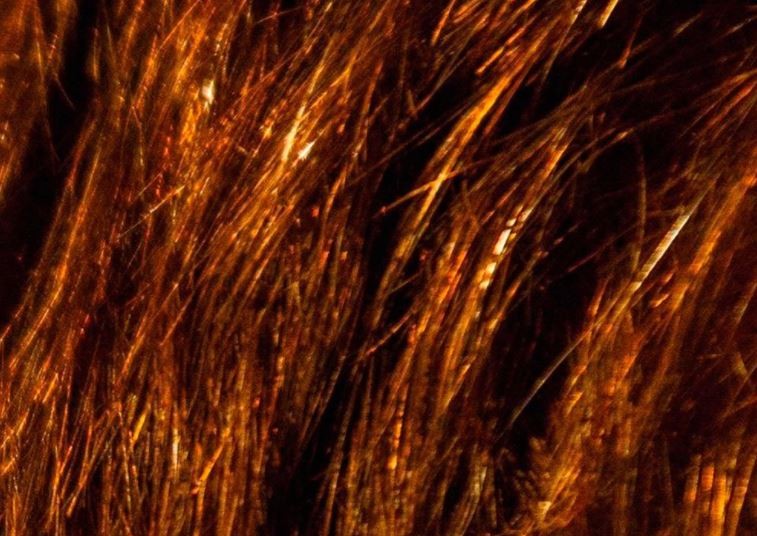 La extraña imagen con la que Juntos por el Cambio lanzó la candidatura de Santilli en la provincia de Buenos Aires | Política y economía