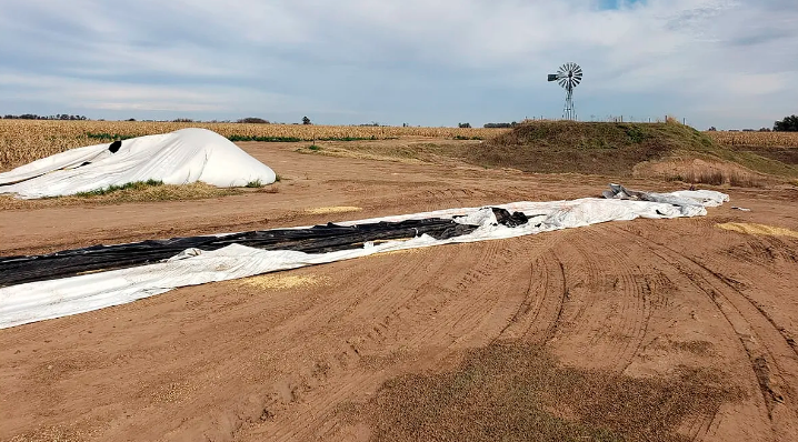 Cayó banda que había robado 300 toneladas de soja | Córdoba
