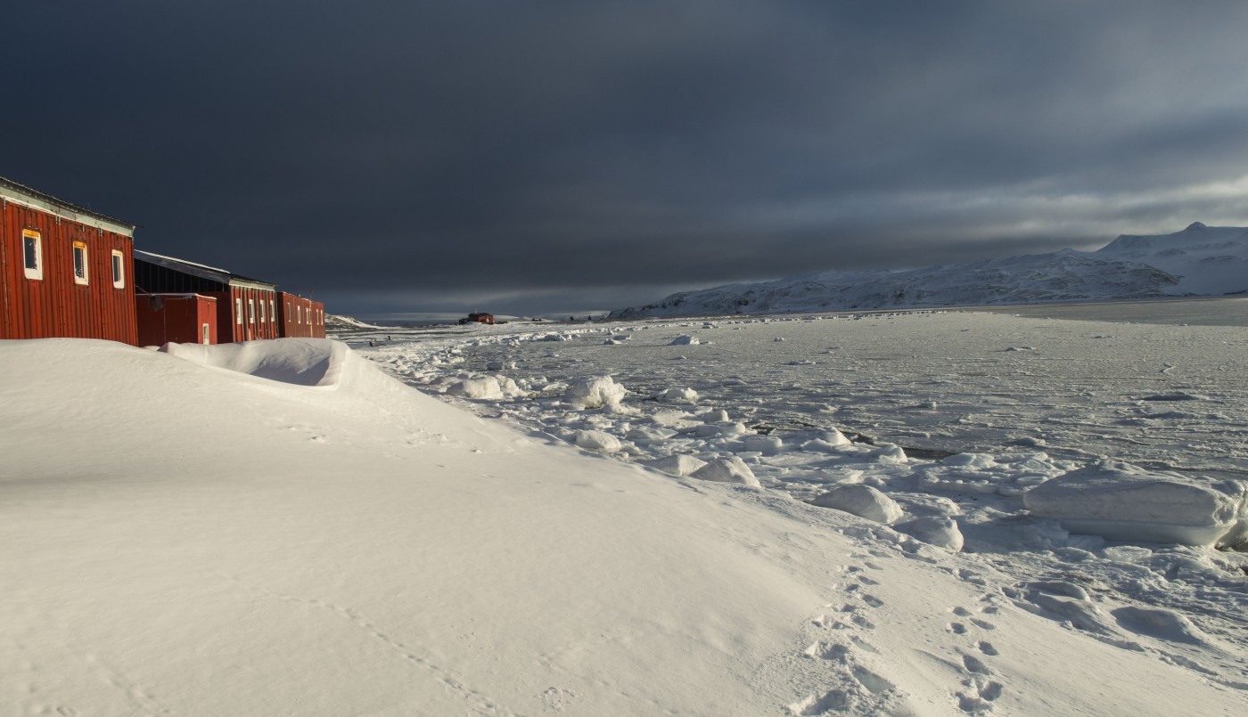 Se congeló la superficie del agua del mar frente a la Base Carlini en la Antártida | Actualidad