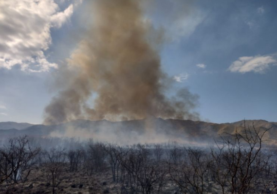 Aseguran tener controlados los incendios | Córdoba