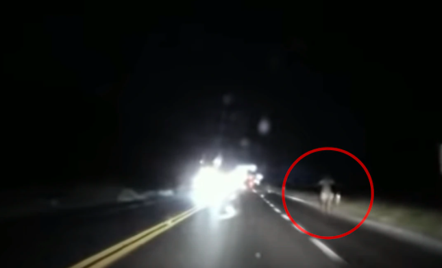 Video de terror: un hombre grabó en una ruta una imagen y todos creen que es "La Llorona" | Curiosidades