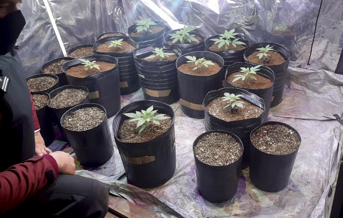 La Iglesia Católica criticó al Presidente por sus dichos sobre la legalización de la marihuana | Política y economía