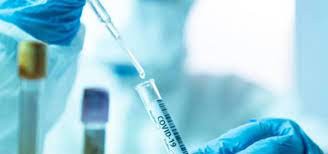 Coronavirus: un medicamento reduce la carga viral un 99% y arranca el testeo en humanos | Internacionales