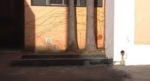 Hallaron a una mujer asesinada en un salón de fiestas abandonado de Moreno | Actualidad