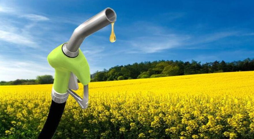 Oficializaron los aumentos en los precios del bioetanol y el biodiesel | Actualidad