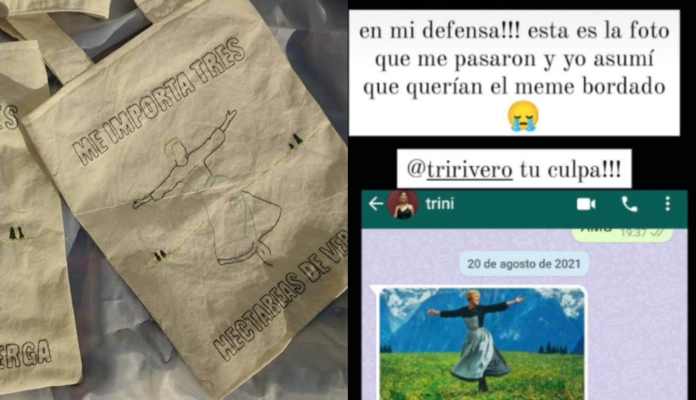 El insólito error de una emprendedora al bordar bolsas sobre "La Novicia Rebelde" | Redes