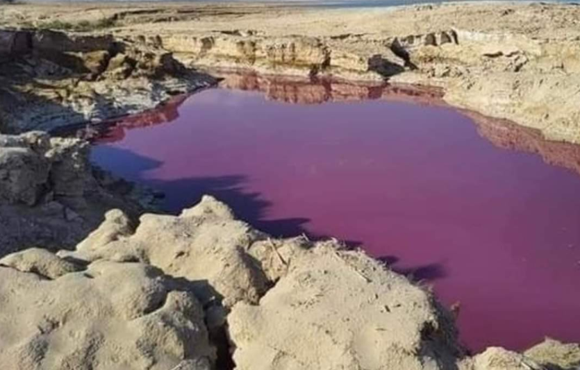 Misterio en el mar Muerto: un brazo se tiñó de rojo y no encuentran explicación | Internacionales