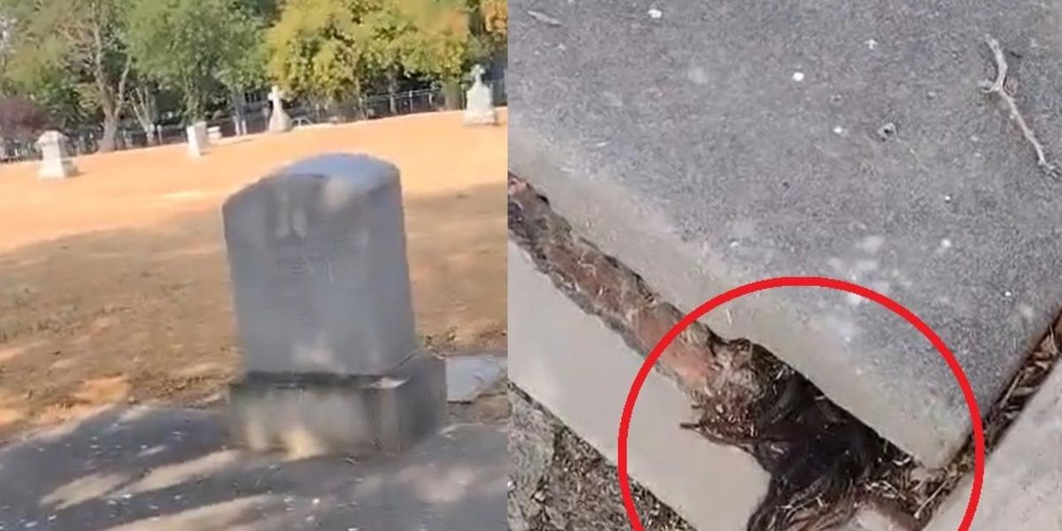 Video de terror: descubrió pelos saliendo de una tumba de más de 100 años | Curiosidades