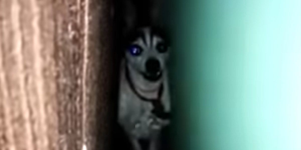 “Hola Juan Carlos”: la historia detrás del viral que la rompe en redes sociales | Redes