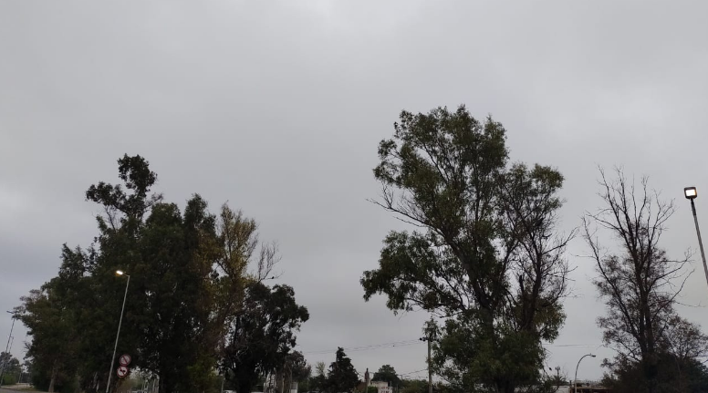 Cálido, húmedo, probable llovizna, máxima de 26° | Córdoba