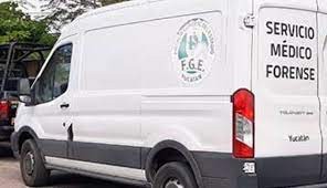 Un hombre se quitó la vida, pero antes envenenó a sus 13 perros para no dejarlos desamparados | Internacionales