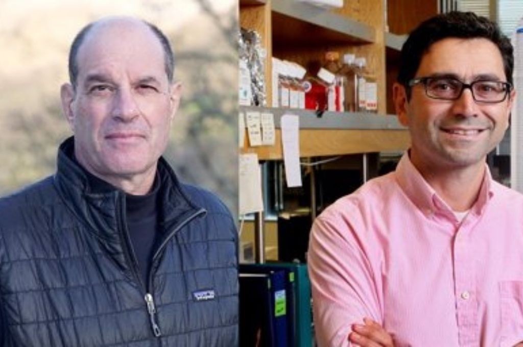 Nobel de Medicina para dos científicos por descubrimiento de receptores para temperatura y tacto | Internacionales