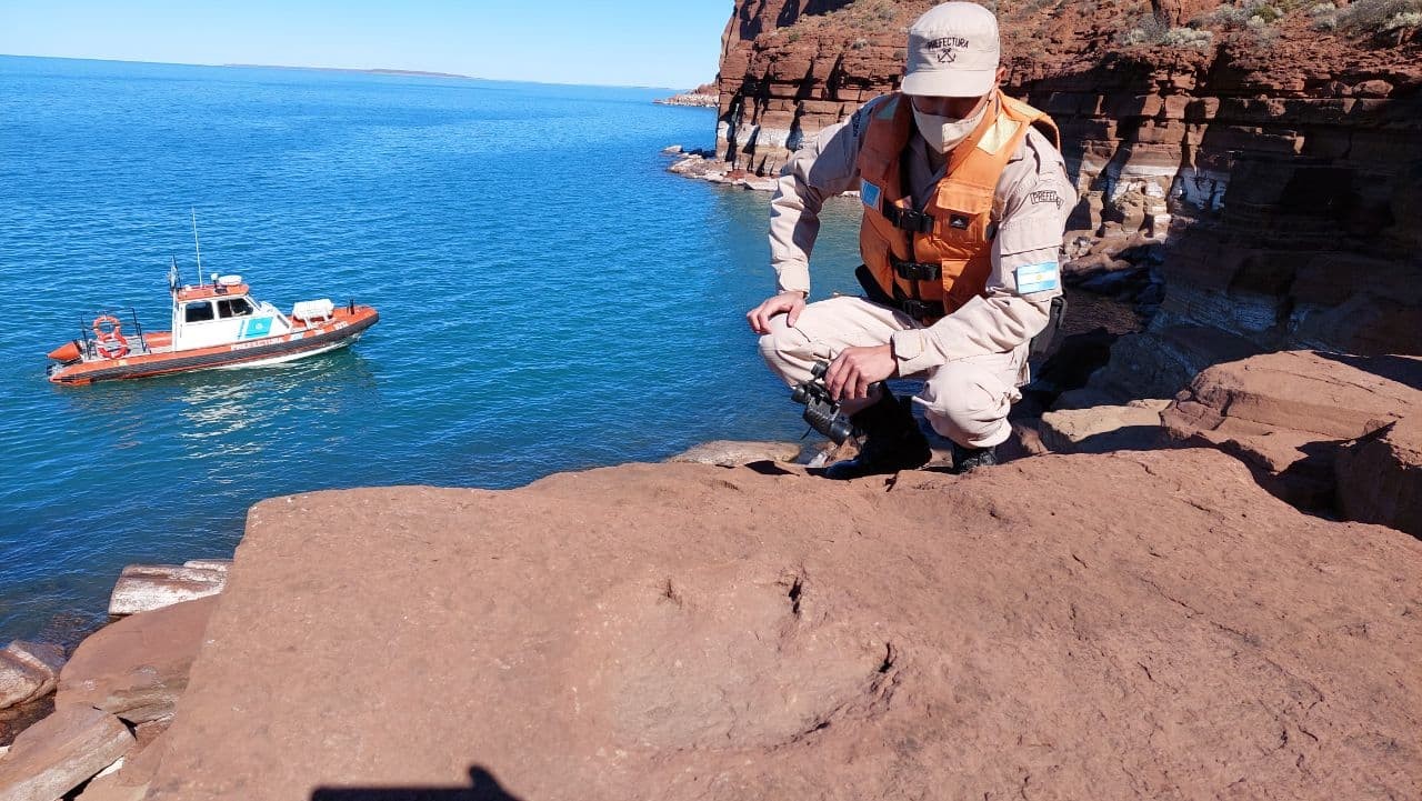 Hallazgo en la Patagonia: Prefectura encontró huellas de dinosaurio | Actualidad