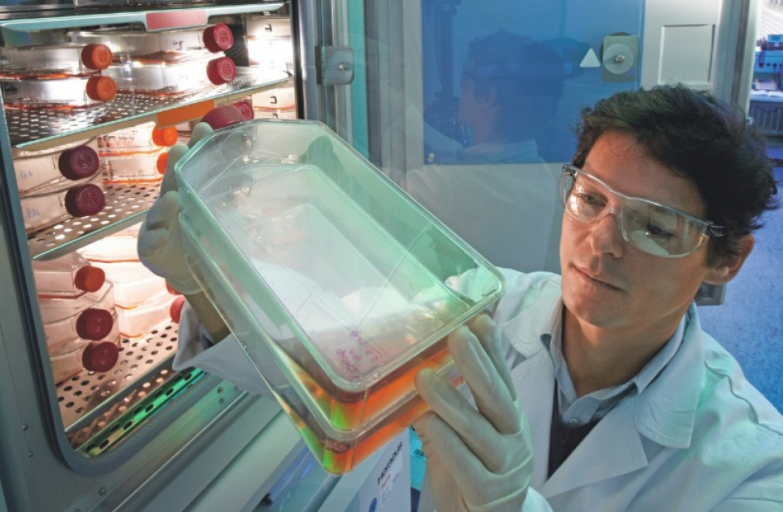 El cáncer podría ser la primera causa de muerte a nivel mundial para el 2040 | Actualidad