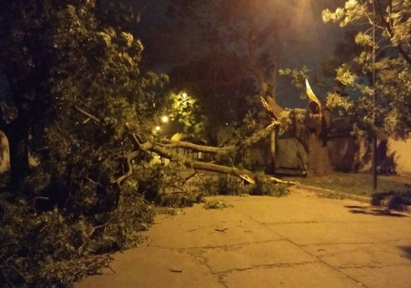 Un tornado azotó una localidad del oeste de Córdoba | Córdoba