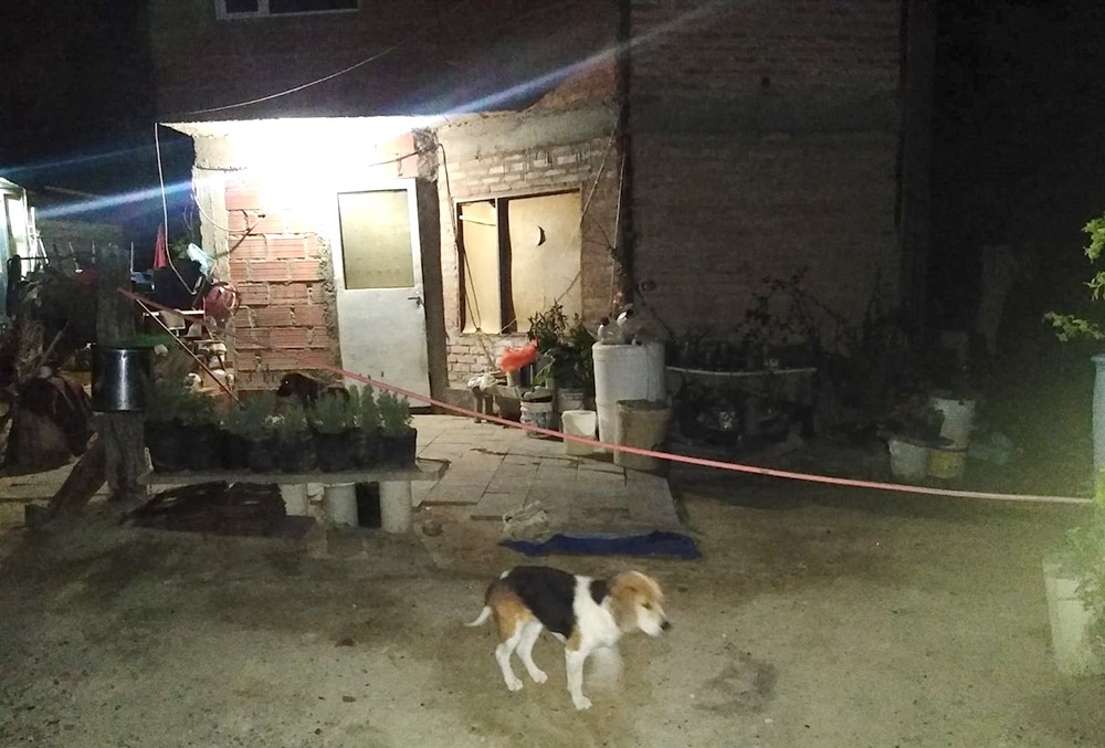 Asesinó a su suegra en venganza por una denuncia de violencia | Actualidad