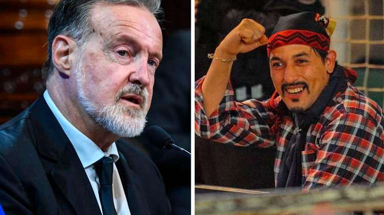 Aclaran que Bielsa no pidió la libertad de Huala y participó de audiencia por "asistencia consular" | Política y economía