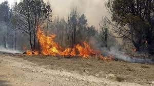 Nueve provincias afectadas por incendios forestales | Actualidad