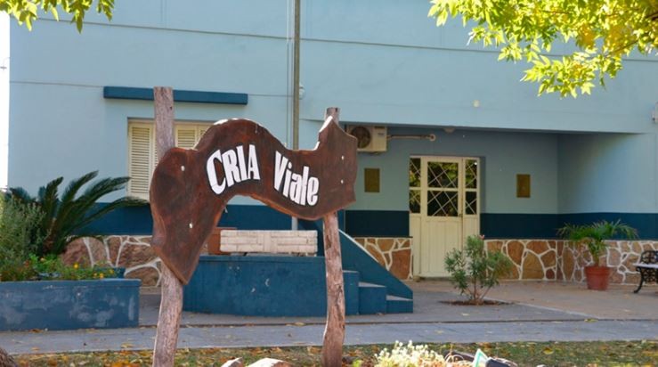 Abuso de un niño por grupo de menores: amenazaron a testigo “clave” | Actualidad