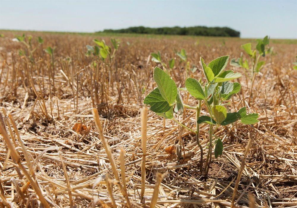"La Niña": pronostican meses de calor y escasas lluvias | Actualidad