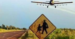 Vecinos de la localidad chaqueña de Presidencia Roca denuncian fumigaciones ilegales | Actualidad