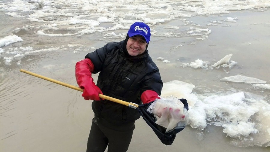 Preocupación en Río Negro y Neuquén por alga invasora que puede afectar a los peces | Actualidad