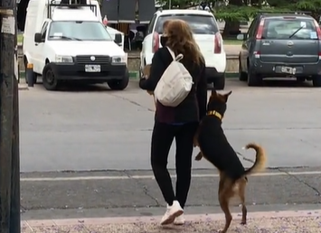 Video viral: una perra le da la pata a su dueña para cruzar la calle | Redes