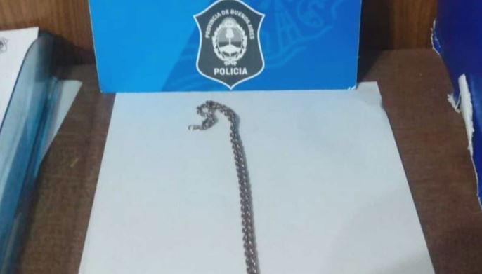 Detienen en La Plata a tres hermanos por robar en un comercio: tienen 15, 13 y 11 años | Actualidad