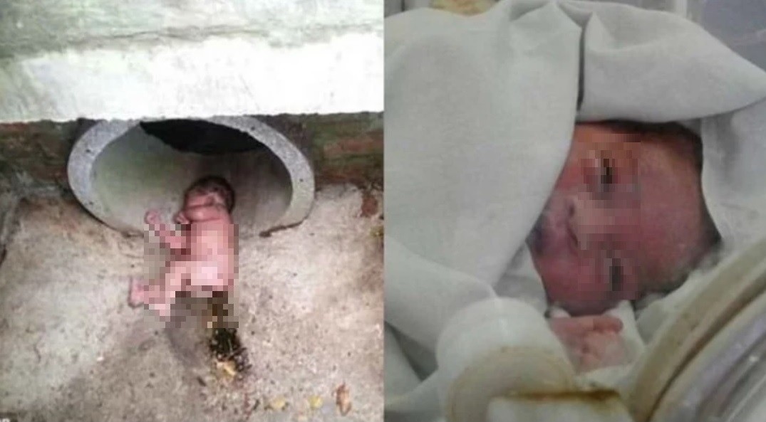 Ante los constantes maullidos de gatos, vecinos se asomaron a una alcantarilla y hallaron una beba abandonada | Internacionales