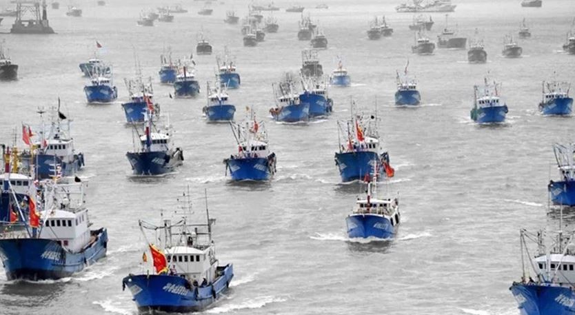 Pesca ilegal: la Armada y Prefectura Naval vigilan a 300 pesqueros chinos que ingresan al Atlántico Sur | Actualidad