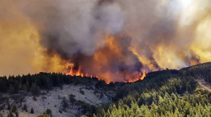 Incendios: hay focos activos en siete provincias | Actualidad