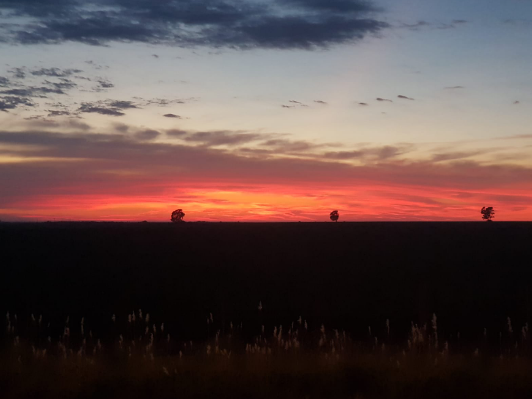 Caluroso y húmedo, parcialmente nublado con probabilidad de tormentas fuertes por la noche | Córdoba