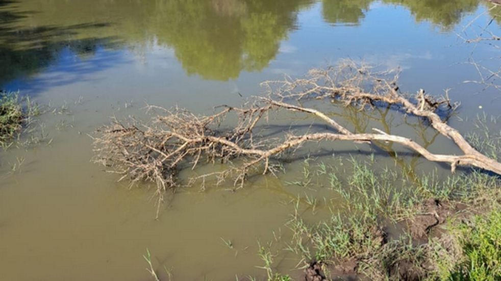 Hallaron ahogada a una nena de 2 años en una represa de San Luis | Actualidad