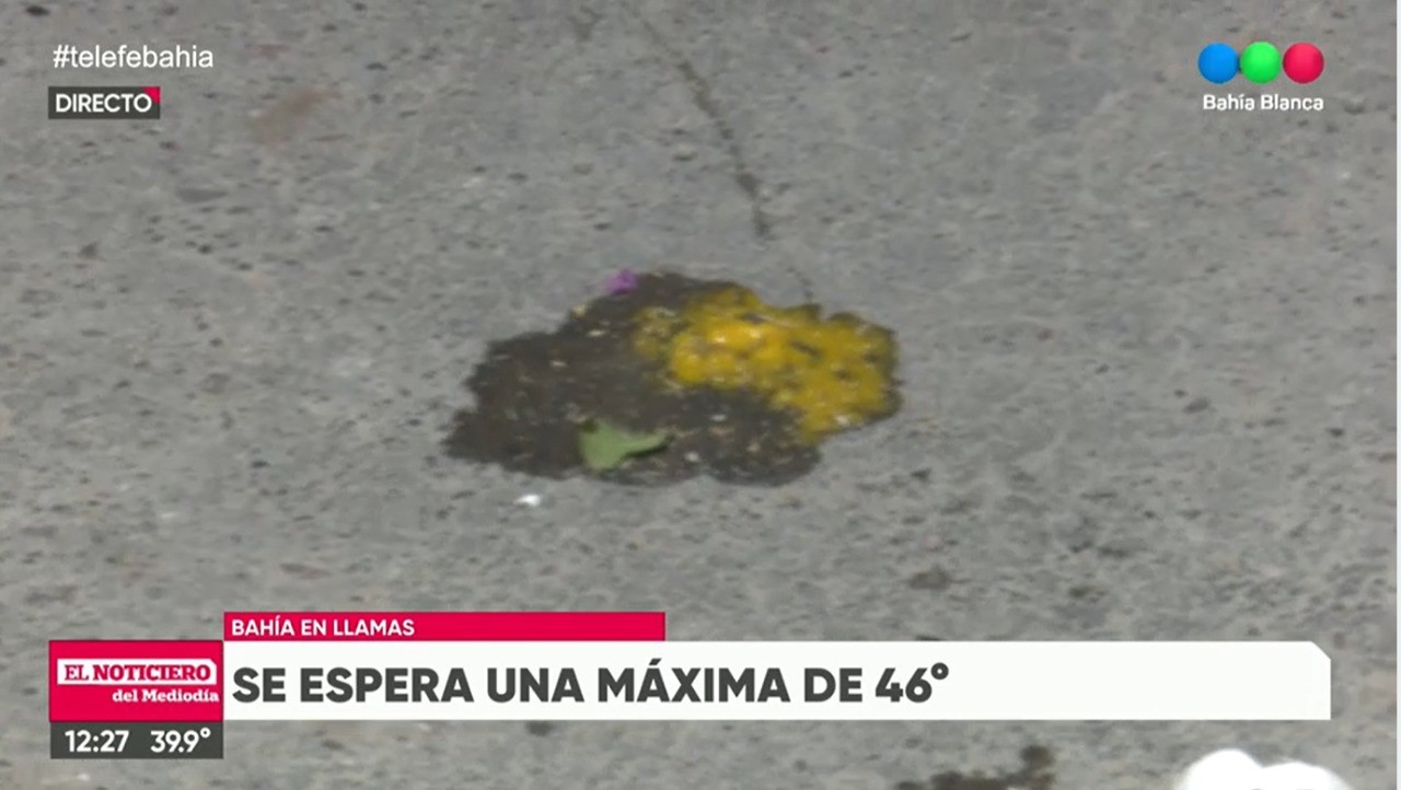 La ola de calor en Bahía Blanca consiguió "cocinar" un huevo sobre el asfalto | Curiosidades